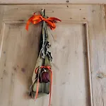 Red Fenice Nocleg ze śniadaniem San Donà di Piave