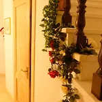 Nocleg ze śniadaniem Red Fenice 3*