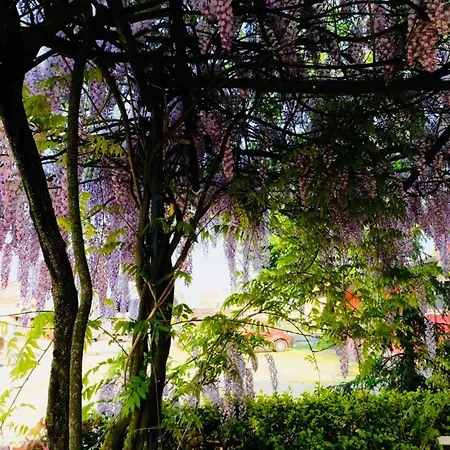 红凤凰旅馆 皮亚韦河畔的圣多纳
