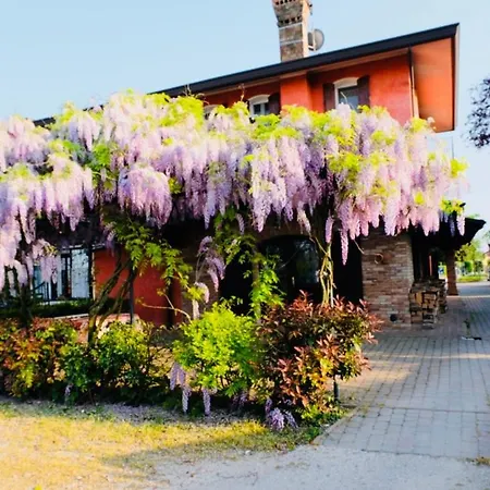 Red Fenice * San Dona di Piave