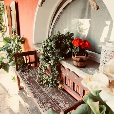 Red Fenice * San Dona di Piave