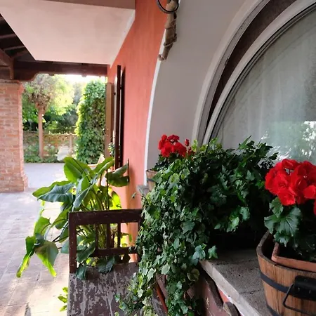 Red Fenice *